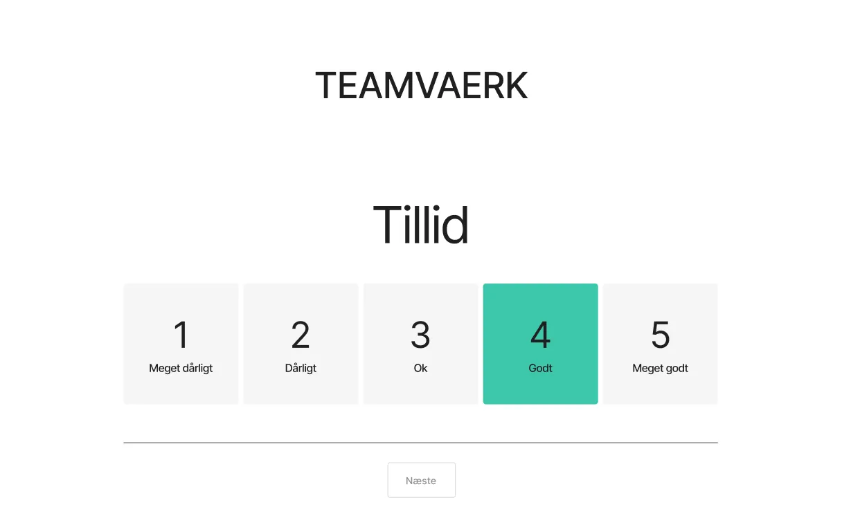 Teamvaerk platform demo